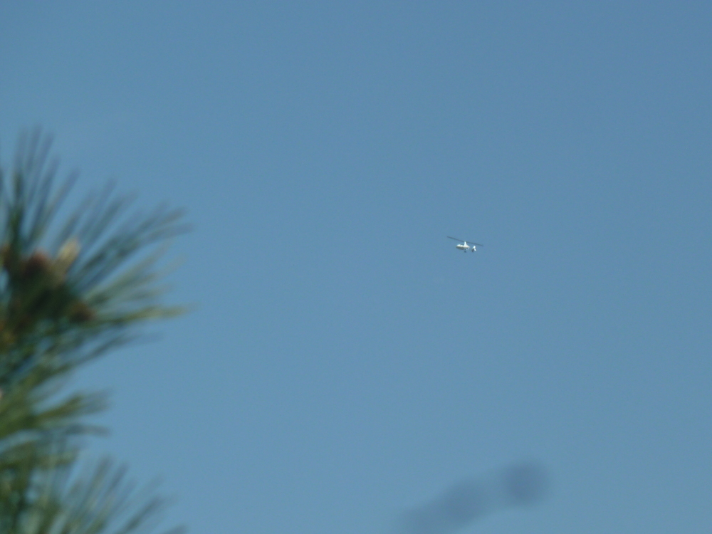 Skaliertes Bild 2021/20210421_141225.jpg 