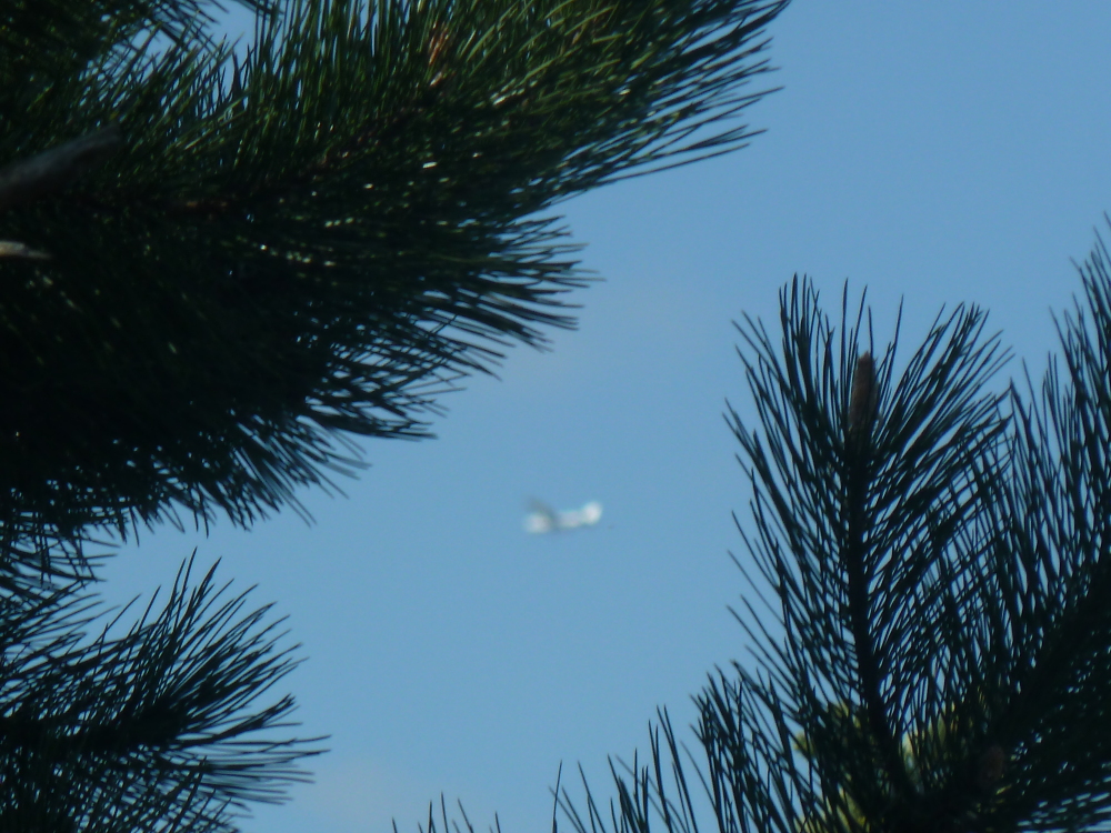 Skaliertes Bild 2021/20210423_150630.jpg 