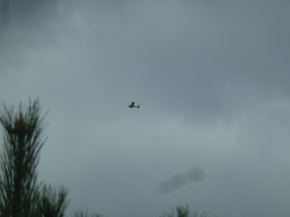 Skaliertes Bild 2021/20210424_095334.jpg 