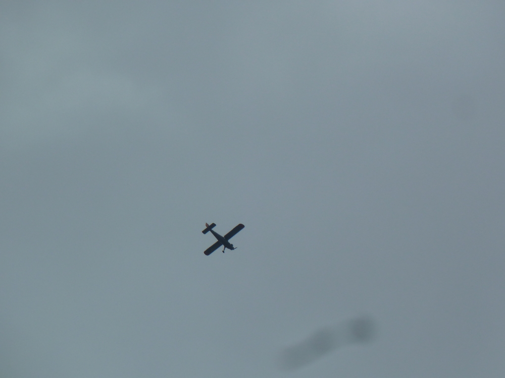 Skaliertes Bild 2021/20210424_144547.jpg 