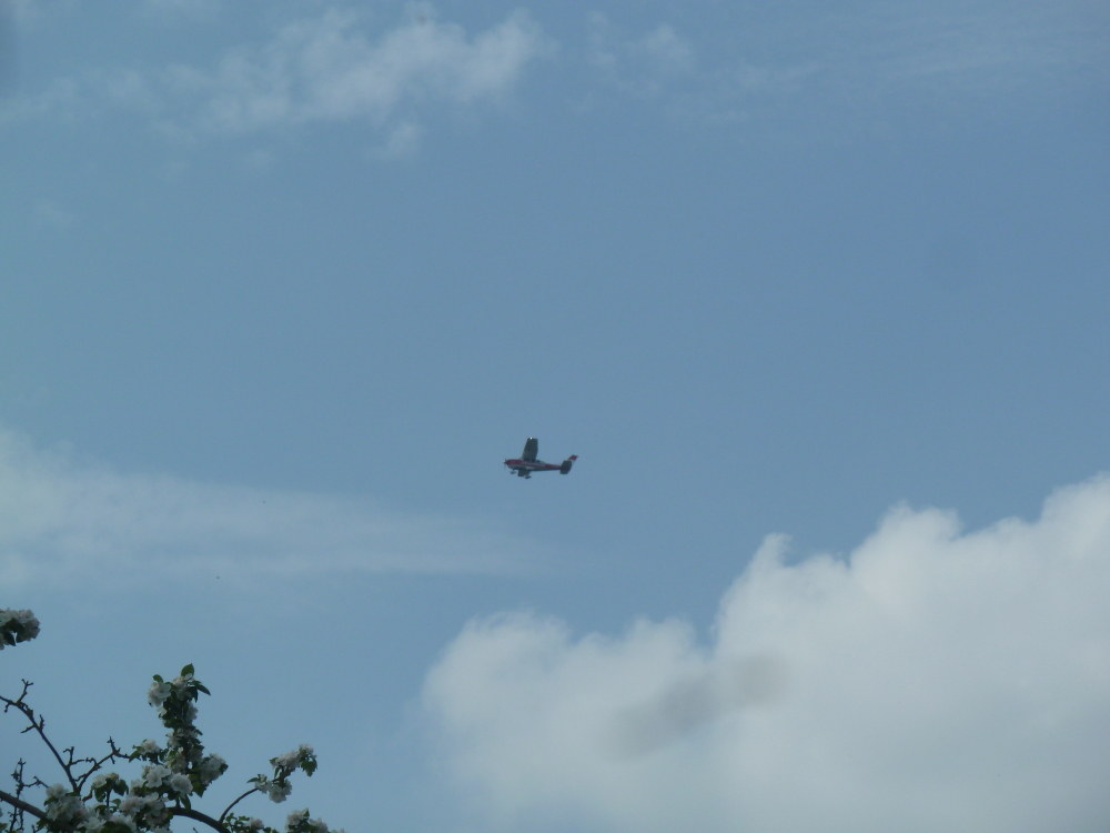 Skaliertes Bild 2022/20220507_142855.jpg 