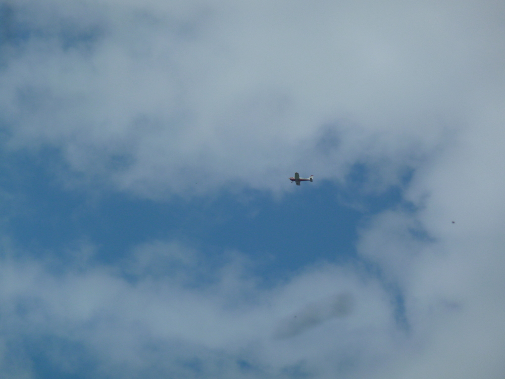 Skaliertes Bild 2022/20220611_143310.jpg 