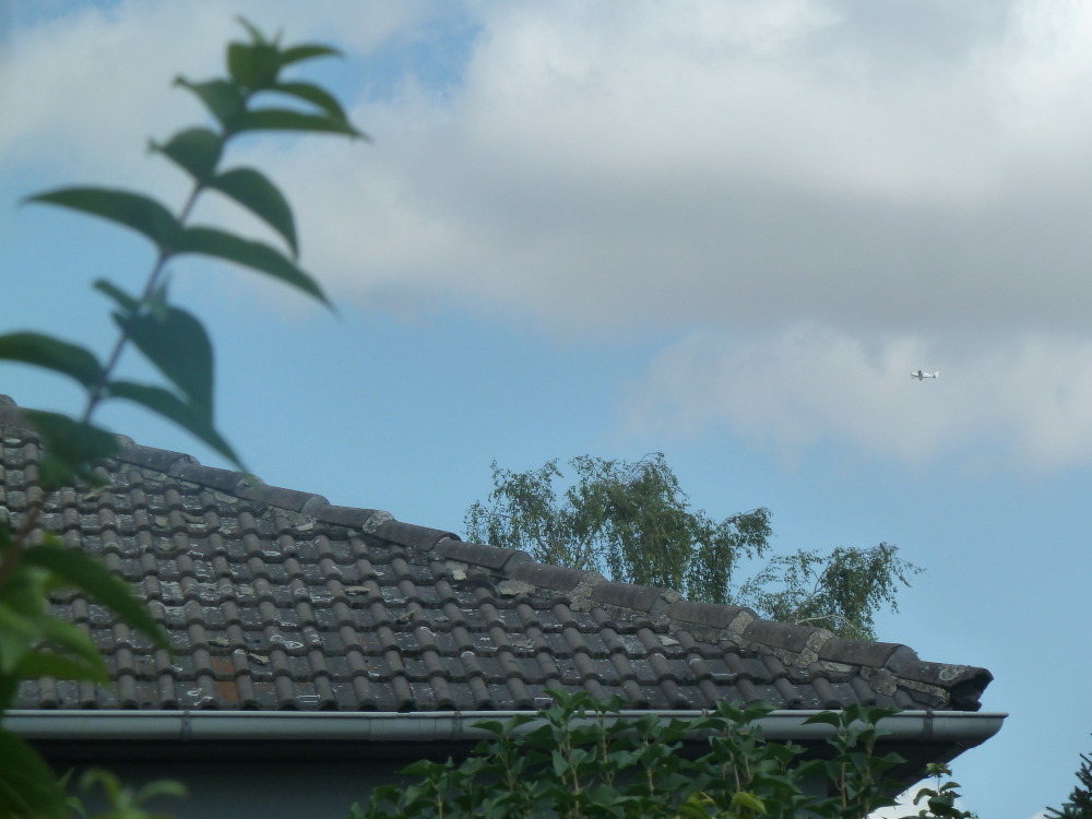 Skaliertes Bild 2022/20220723_112208.jpg 