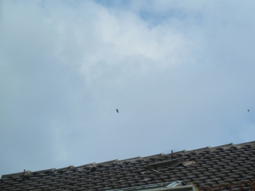 Skaliertes Bild 2022/20220730_174149.jpg 