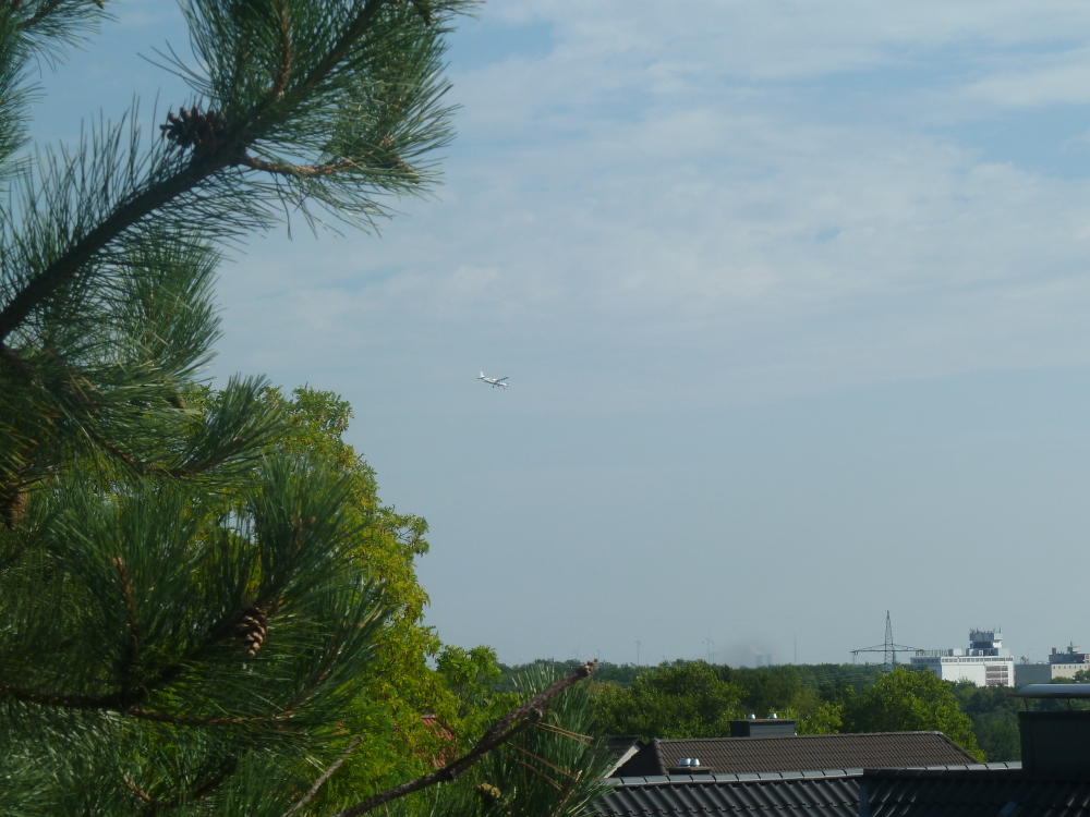 Skaliertes Bild 2022/20220814_103441.jpg 