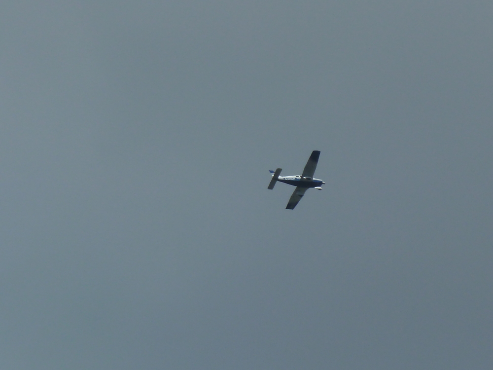 Skaliertes Bild 2022/20220902_144617.jpg 