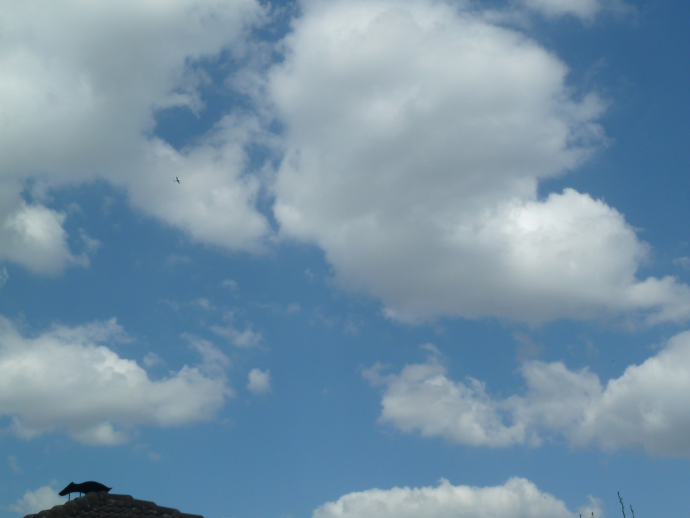 Skaliertes Bild 2022/20220902_145101.jpg 