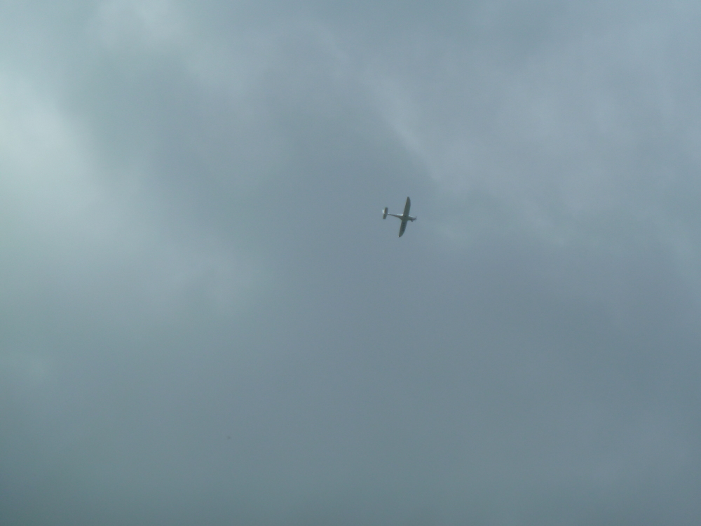 Skaliertes Bild 2023/20230519_133205.jpg 