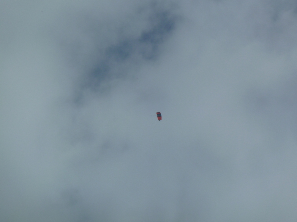 Skaliertes Bild 2023/20230805_142843.jpg 