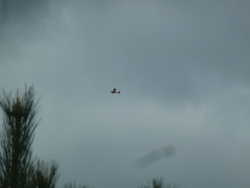 Vorschaubild 2021/20210424_095334.jpg 