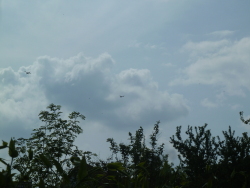 Vorschaubild 2022/20220507_142916.jpg 