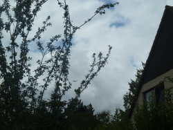 Vorschaubild 2022/20220715_144039.jpg 