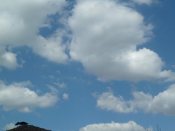 Vorschaubild 2022/20220902_145101.jpg 