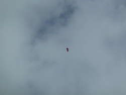 Vorschaubild 2023/20230805_142843.jpg 