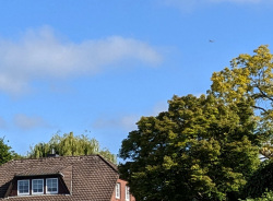 Vorschaubild 2025/20250516_085515.jpg 